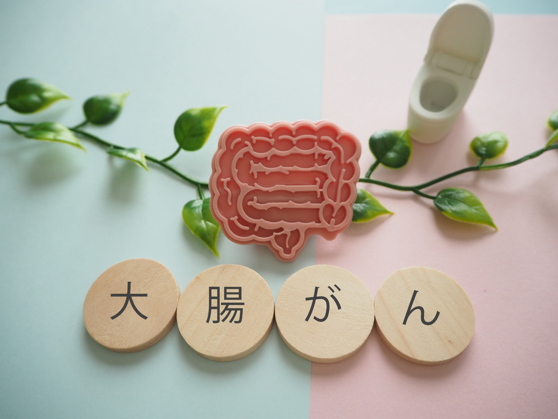 大腸がんは防げる時代へ――予防と検査で命を守る　～熊本市全大腸内視鏡検査～